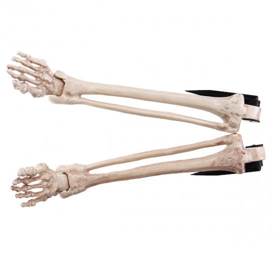 Halloween Scary Horror Skeleton Decorations Head Bones Skull Hand Outdoor Prop Party Halloween Scary Horror Skeleton Decorations Head Bones Skull Hand Outdoor Prop Party