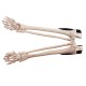 Halloween Scary Horror Skeleton Decorations Head Bones Skull Hand Outdoor Prop Party Halloween Scary Horror Skeleton Decorations Head Bones Skull Hand Outdoor Prop Party