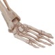 Halloween Scary Horror Skeleton Decorations Head Bones Skull Hand Outdoor Prop Party Halloween Scary Horror Skeleton Decorations Head Bones Skull Hand Outdoor Prop Party