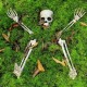 Halloween Scary Horror Skeleton Decorations Head Bones Skull Hand Outdoor Prop Party Halloween Scary Horror Skeleton Decorations Head Bones Skull Hand Outdoor Prop Party