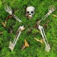 Halloween Scary Horror Skeleton Decorations Head Bones Skull Hand Outdoor Prop Party