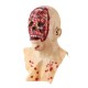 Halloween Zombie Mask Latex Face Melting Walking Dead Bloody Scary Head Costume