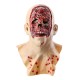 Halloween Zombie Mask Latex Face Melting Walking Dead Bloody Scary Head Costume