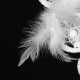 Handcraft Dream Catcher With Feathers Bead Wall Hanging Decorations Ornament Handcraft Dream Catcher With Feathers Bead Wall Hanging Decorations Ornament