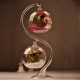 Hanging Glass Iron Ball Flower Vase Micro Landscape Terrarium with S Support Stand