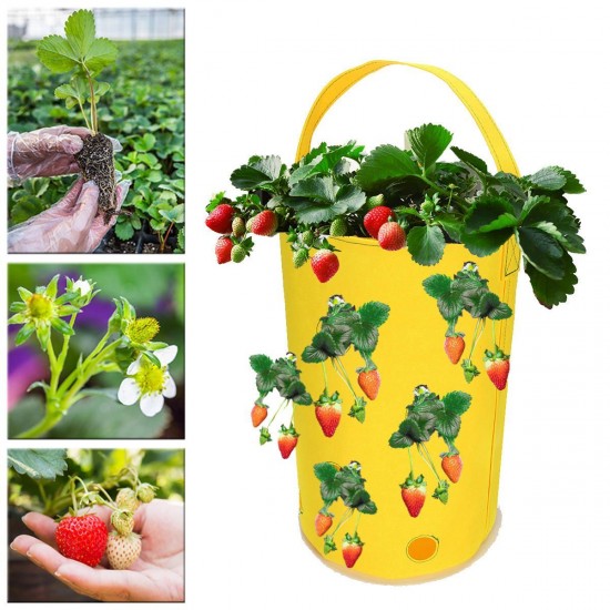 Hanging Non-Woven Felt Vertical Planter Bag 11x Pockets For Strawberry Planting Grow Box