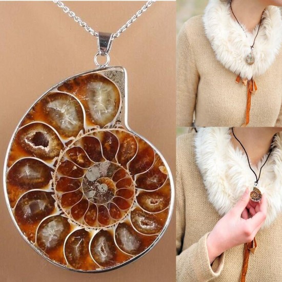 Hot Madagascar Sea Natural Druzy Ammonite Shell Gemstone Pendant Necklace