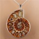 Hot Madagascar Sea Natural Druzy Ammonite Shell Gemstone Pendant Necklace