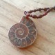 Hot Madagascar Sea Natural Druzy Ammonite Shell Gemstone Pendant Necklace