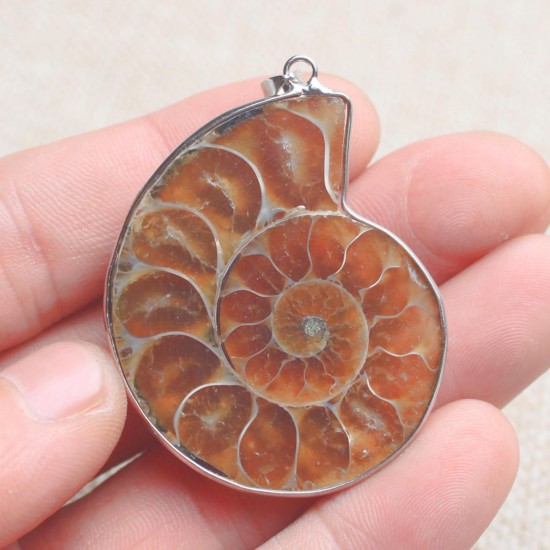 Hot Madagascar Sea Natural Druzy Ammonite Shell Gemstone Pendant Necklace