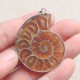 Hot Madagascar Sea Natural Druzy Ammonite Shell Gemstone Pendant Necklace Hot Madagascar Sea Natural Druzy Ammonite Shell Gemstone Pendant Necklace