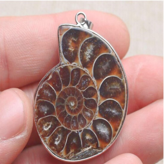 Hot Madagascar Sea Natural Druzy Ammonite Shell Gemstone Pendant Necklace