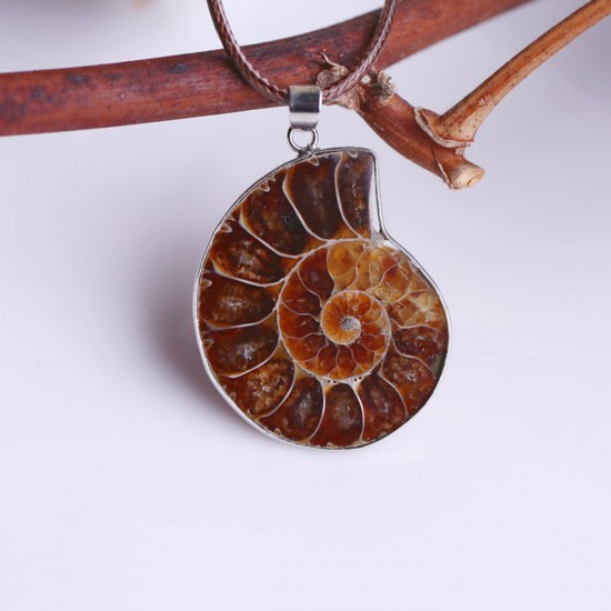 Hot Madagascar Sea Natural Druzy Ammonite Shell Gemstone Pendant Necklace