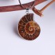 Hot Madagascar Sea Natural Druzy Ammonite Shell Gemstone Pendant Necklace Hot Madagascar Sea Natural Druzy Ammonite Shell Gemstone Pendant Necklace