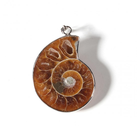 Hot Madagascar Sea Natural Druzy Ammonite Shell Gemstone Pendant Necklace