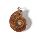 Hot Madagascar Sea Natural Druzy Ammonite Shell Gemstone Pendant Necklace