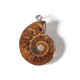 Hot Madagascar Sea Natural Druzy Ammonite Shell Gemstone Pendant Necklace Hot Madagascar Sea Natural Druzy Ammonite Shell Gemstone Pendant Necklace