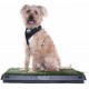 Indoor Dog Pet Potty Training Portable Toilet Pads Tray With 1 PC Replace Grass Mat Indoor Dog Pet Potty Training Portable Toilet Pads Tray With 1 PC Replace Grass Mat