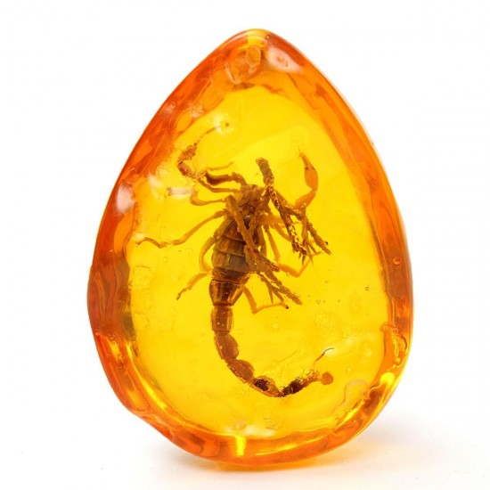 Insect Stone Scorpions Inclusion Amber Baltic Pendant Necklace Decorations