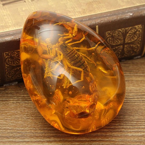 Insect Stone Scorpions Inclusion Amber Baltic Pendant Necklace Decorations