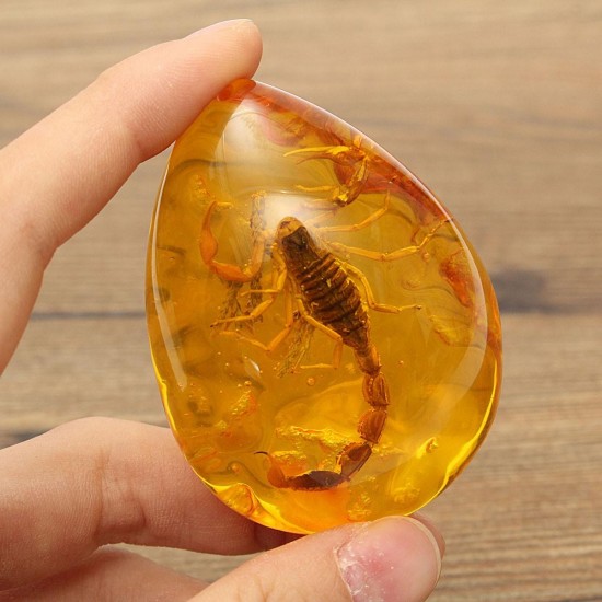 Insect Stone Scorpions Inclusion Amber Baltic Pendant Necklace Decorations