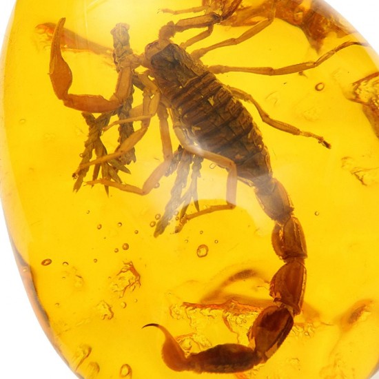 Insect Stone Scorpions Inclusion Amber Baltic Pendant Necklace Decorations