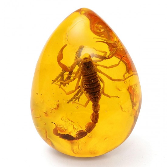 Insect Stone Scorpions Inclusion Amber Baltic Pendant Necklace Decorations