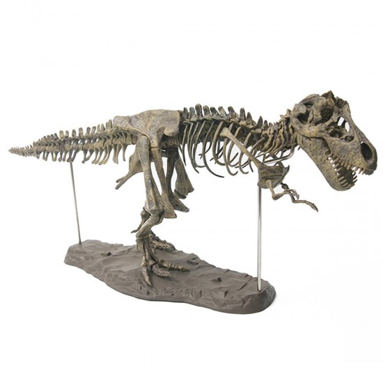 Jurassic Dinosaurs Tyrannosaurus Rex Skeleton Trex Animal Model Kids Toys Gift