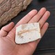 Lycoptera Davidi plate specimen Jurassic to Cretaceous Real Fish Fossil China Decorations