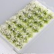 Mini Flower Clusters Ciniature Model Military Model Scenario Train Sand Table DIY Modelling Architecture Scenery Materials Decorations Mini Flower Clusters Ciniature Model Military Model Scenario Train Sand Table DIY Modelling Architecture Scenery Materials Decorations