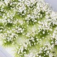 Mini Flower Clusters Ciniature Model Military Model Scenario Train Sand Table DIY Modelling Architecture Scenery Materials Decorations Mini Flower Clusters Ciniature Model Military Model Scenario Train Sand Table DIY Modelling Architecture Scenery Materials Decorations
