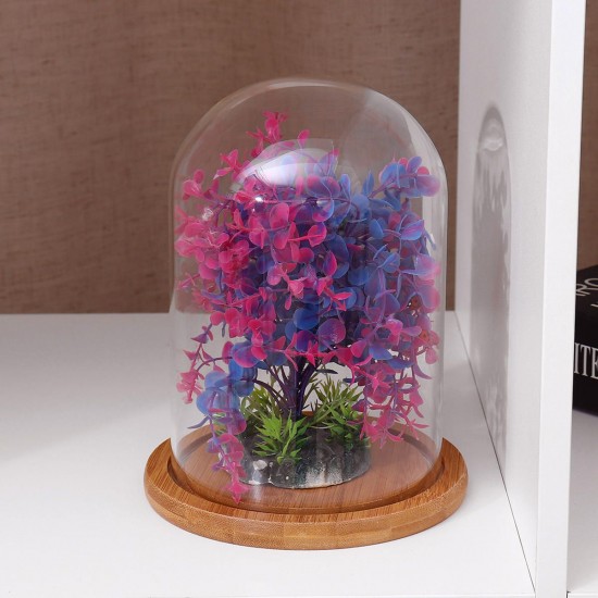 Mini Glass Booth Display Dome Cover Flower Vase With Wood Cork Home Decorations Gift