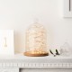 Mini Glass Booth Display Dome Cover Flower Vase With Wood Cork Home Decorations Gift Mini Glass Booth Display Dome Cover Flower Vase With Wood Cork Home Decorations Gift