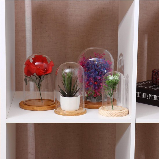 Mini Glass Booth Display Dome Cover Flower Vase With Wood Cork Home Decorations Gift