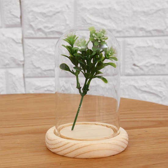 Mini Glass Booth Display Dome Cover Flower Vase With Wood Cork Home Decorations Gift Mini Glass Booth Display Dome Cover Flower Vase With Wood Cork Home Decorations Gift