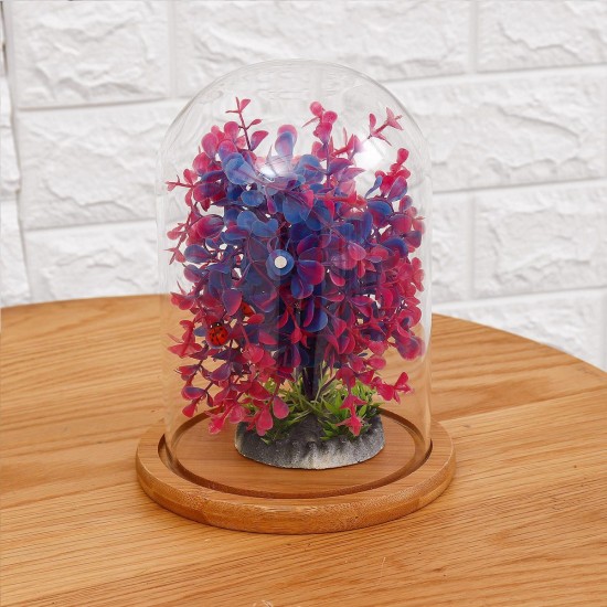 Mini Glass Booth Display Dome Cover Flower Vase With Wood Cork Home Decorations Gift Mini Glass Booth Display Dome Cover Flower Vase With Wood Cork Home Decorations Gift