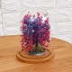 Mini Glass Booth Display Dome Cover Flower Vase With Wood Cork Home Decorations Gift