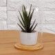 Mini Glass Booth Display Dome Cover Flower Vase With Wood Cork Home Decorations Gift Mini Glass Booth Display Dome Cover Flower Vase With Wood Cork Home Decorations Gift