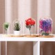 Mini Glass Booth Display Dome Cover Flower Vase With Wood Cork Home Decorations Gift Mini Glass Booth Display Dome Cover Flower Vase With Wood Cork Home Decorations Gift