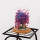Mini Glass Booth Display Dome Cover Flower Vase With Wood Cork Home Decorations Gift