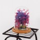Mini Glass Booth Display Dome Cover Flower Vase With Wood Cork Home Decorations Gift Mini Glass Booth Display Dome Cover Flower Vase With Wood Cork Home Decorations Gift