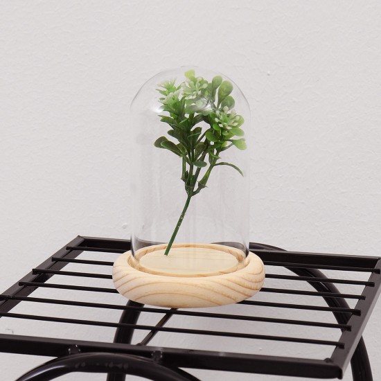 Mini Glass Booth Display Dome Cover Flower Vase With Wood Cork Home Decorations Gift Mini Glass Booth Display Dome Cover Flower Vase With Wood Cork Home Decorations Gift