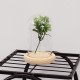 Mini Glass Booth Display Dome Cover Flower Vase With Wood Cork Home Decorations Gift Mini Glass Booth Display Dome Cover Flower Vase With Wood Cork Home Decorations Gift