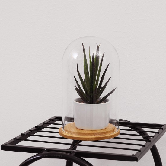 Mini Glass Booth Display Dome Cover Flower Vase With Wood Cork Home Decorations Gift Mini Glass Booth Display Dome Cover Flower Vase With Wood Cork Home Decorations Gift