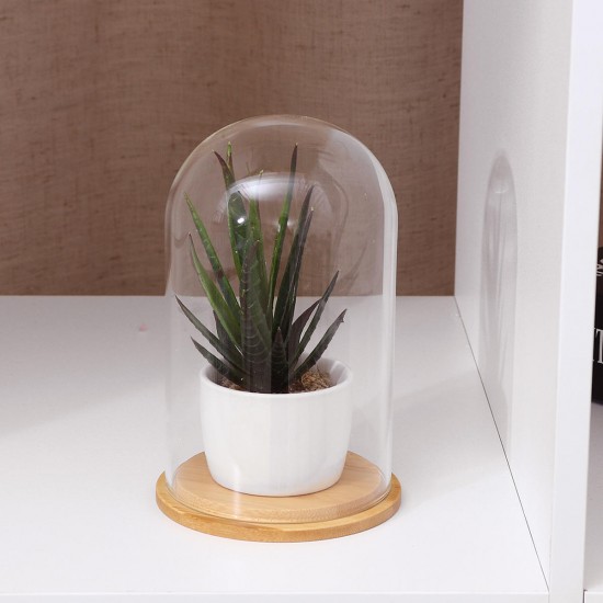 Mini Glass Booth Display Dome Cover Flower Vase With Wood Cork Home Decorations Gift Mini Glass Booth Display Dome Cover Flower Vase With Wood Cork Home Decorations Gift