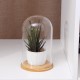 Mini Glass Booth Display Dome Cover Flower Vase With Wood Cork Home Decorations Gift