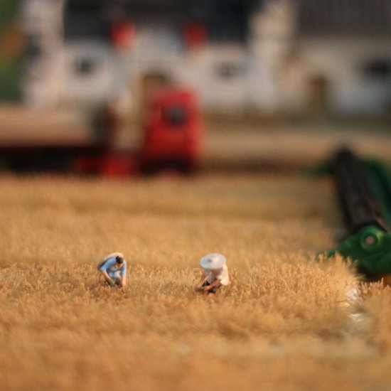 Mini Rice Field Grass Model Scenario Train Sand Table DIY Modelling Materials Decorations