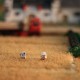 Mini Rice Field Grass Model Scenario Train Sand Table DIY Modelling Materials Decorations