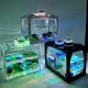 Mini Tropical Fish Aquarium Desktop Creative Ecological Tank Micro Landscape Fish Tank With Led Light