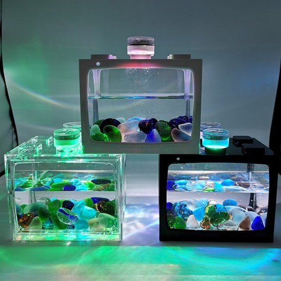 Mini Tropical Fish Aquarium Desktop Creative Ecological Tank Micro Landscape Fish Tank With Led Light